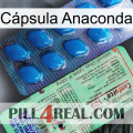 Cápsula Anaconda new02